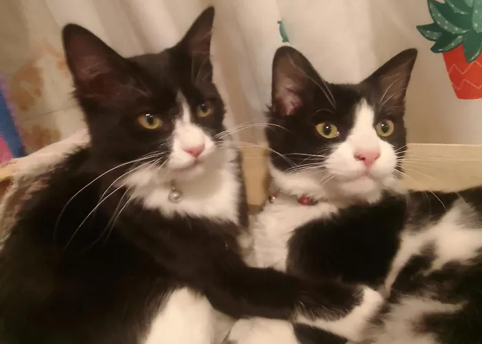 Les Favouilles - & D Hotes *